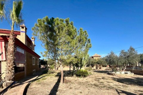 Villa zum Verkauf Rojales, Alicante, Spanien 4 Schlafzimmer, 450 m2 Nr. 115171 - Foto 13