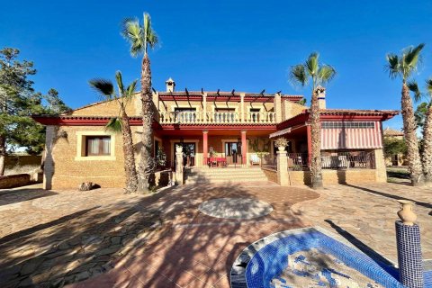Villa zum Verkauf Rojales, Alicante, Spanien 4 Schlafzimmer, 450 m2 Nr. 115171 - Foto 11