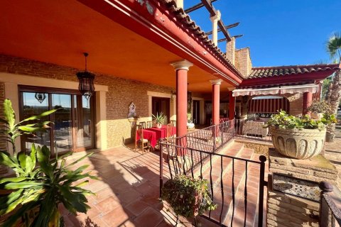 Villa zum Verkauf Rojales, Alicante, Spanien 4 Schlafzimmer, 450 m2 Nr. 115171 - Foto 16