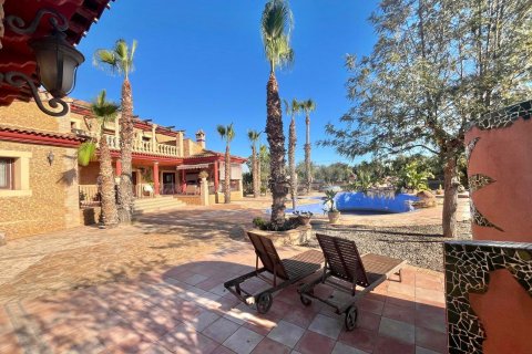 Villa zum Verkauf Rojales, Alicante, Spanien 4 Schlafzimmer, 450 m2 Nr. 115171 - Foto 8