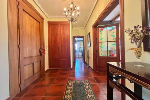 Villa zum Verkauf Rojales, Alicante, Spanien 4 Schlafzimmer, 450 m2 Nr. 115171 - Foto 19
