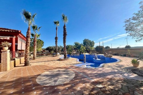 Villa zum Verkauf Rojales, Alicante, Spanien 4 Schlafzimmer, 450 m2 Nr. 115171 - Foto 9