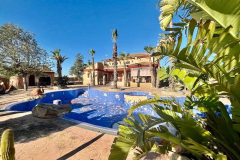 Villa zum Verkauf Rojales, Alicante, Spanien 4 Schlafzimmer, 450 m2 Nr. 115171 - Foto 6