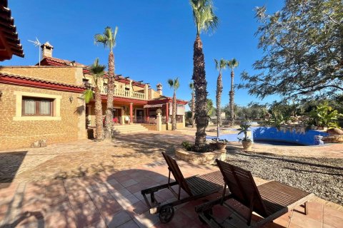 Villa zum Verkauf Rojales, Alicante, Spanien 4 Schlafzimmer, 450 m2 Nr. 115171 - Foto 12