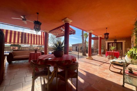 Villa zum Verkauf Rojales, Alicante, Spanien 4 Schlafzimmer, 450 m2 Nr. 115171 - Foto 18