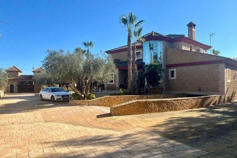 Villa zum Verkauf Rojales, Alicante, Spanien 4 Schlafzimmer, 450 m2 Nr. 115171 - Foto 3