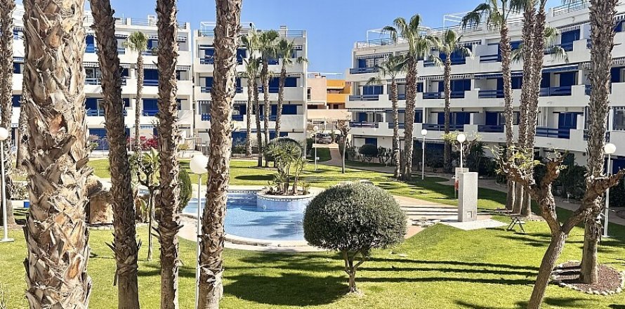 Dzīvoklis Playa Flamenca II, Alicante, Spānijā 2 istabas, 82 m2 Nr. 117578