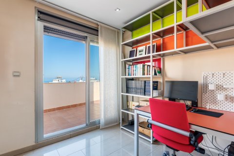 Paritalo myytävänä Guardamar del Segura, Alicante, Espanja, 4 makuuhuonetta, 344 m2 No. 119052 - kuva 28