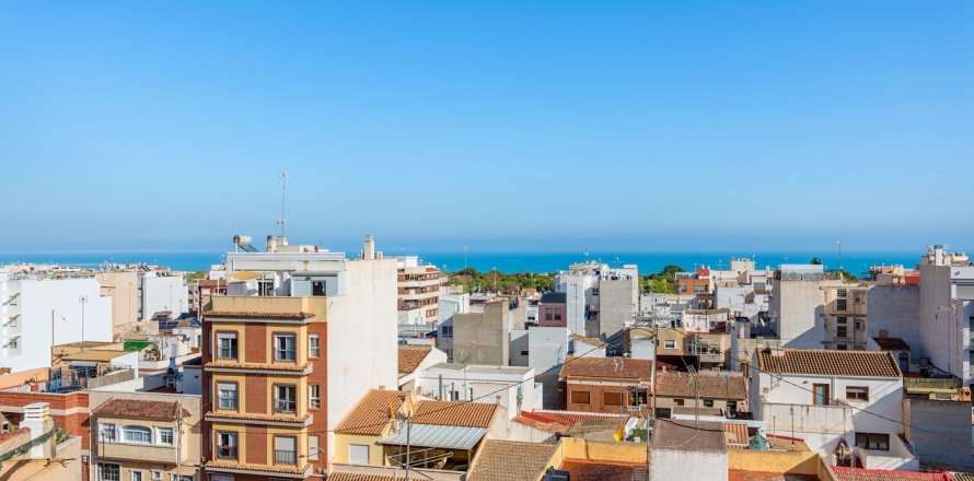 Paritalo Guardamar del Segura, Alicante, Espanja 4 makuuhuonetta, 344 m2 No. 119052