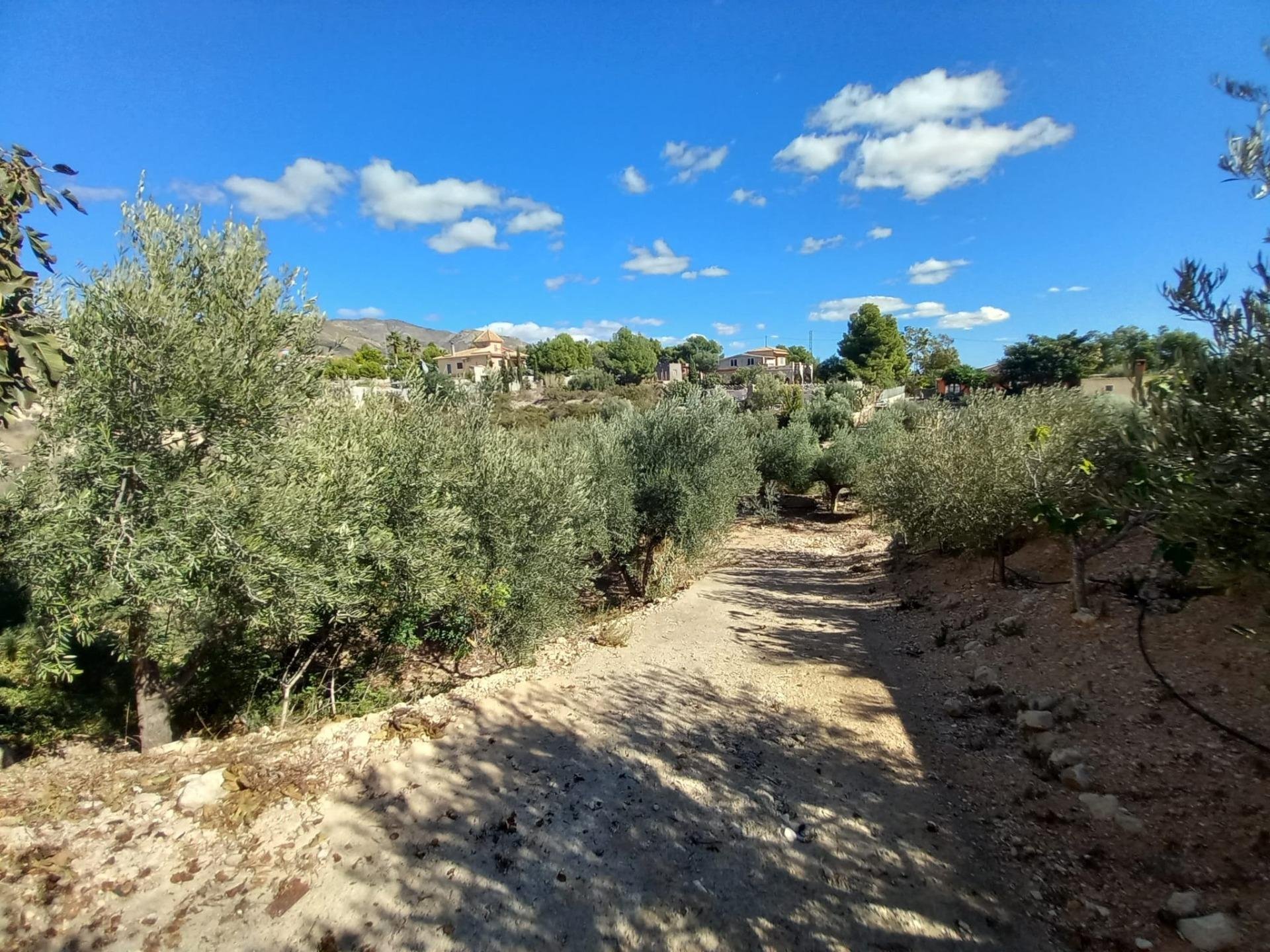 Villa à Albatera, Alicante, Espagne 4 chambres, 175 m2 No. 84396