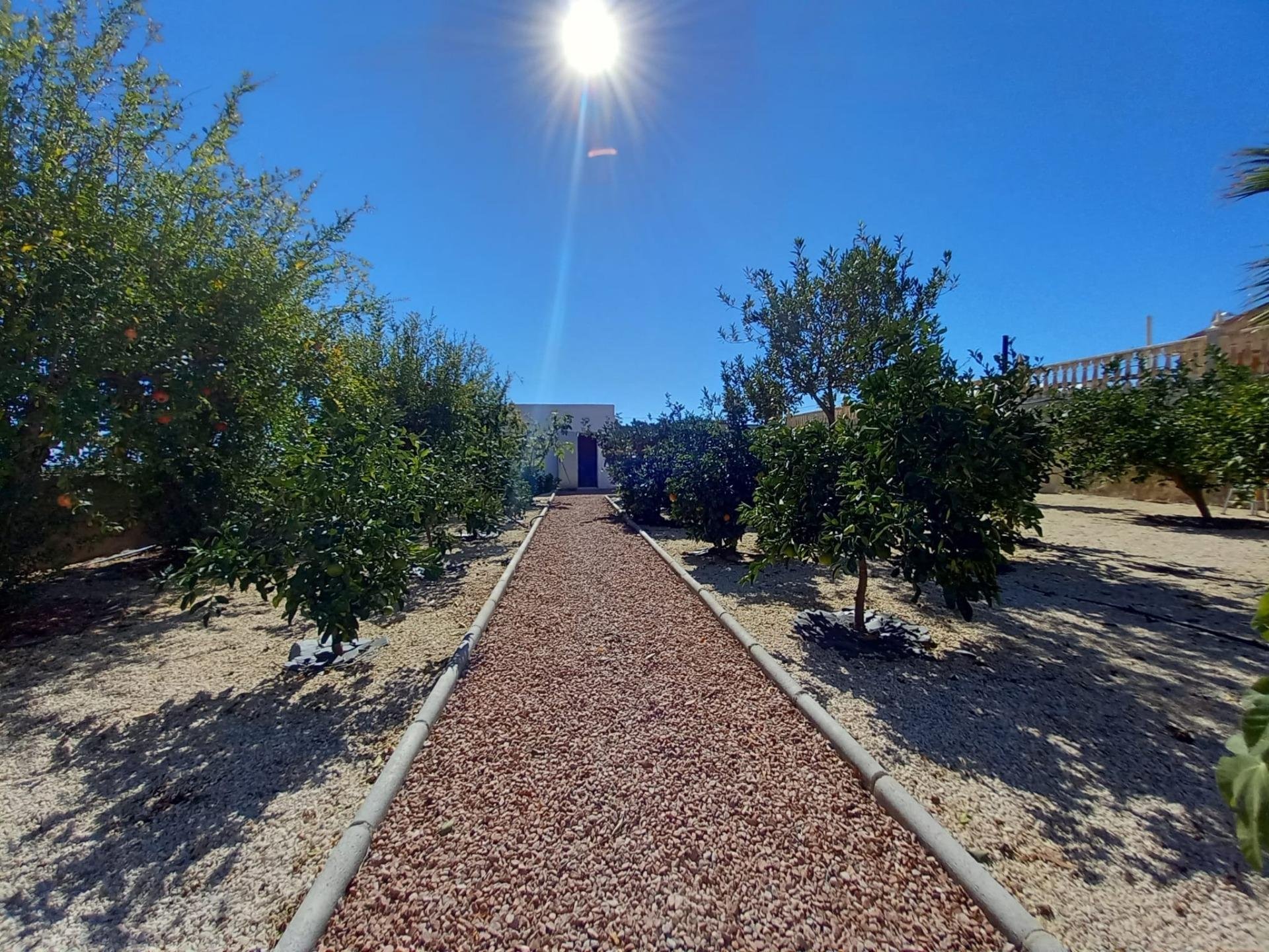 Villa à Albatera, Alicante, Espagne 4 chambres, 175 m2 No. 84396