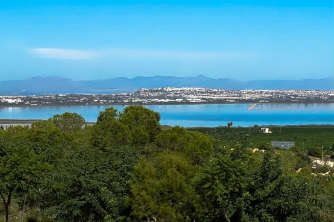 Wohnung zum Verkauf Los Altos, Alicante, Spanien 3 Schlafzimmer, 159 m2 Nr. 95070 - Foto 21