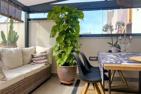 Apartament Torrevieja, Alicante, Hiszpania 2 sypialnie, 67 mkw. nr 115136 – zdjęcie 14