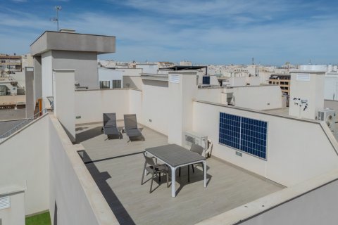 Apartament Torrevieja, Alicante, Hiszpania 2 sypialnie, 67 mkw. nr 115136 – zdjęcie 22