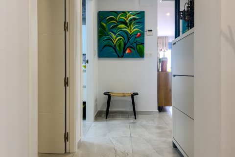 Apartament Torrevieja, Alicante, Hiszpania 2 sypialnie, 67 mkw. nr 115136 – zdjęcie 2