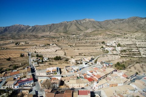 Bungalow till salu Hondon De Las Nieves, Alicante, Spanien 3 sovrum, 120 kvm. Nr. 114280 - foto 6