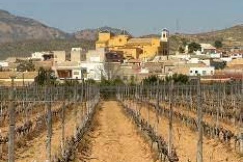 Bungalow till salu Hondon De Las Nieves, Alicante, Spanien 3 sovrum, 120 kvm. Nr. 114280 - foto 11