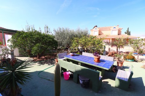 Kamienica Benijofar, Alicante, Hiszpania 3 sypialnie, 74 mkw. nr 114630 – zdjęcie 21