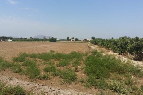 Finka Daya Nueva, Alicante, Hiszpania 3 sypialnie, 239 mkw. nr 115513 – zdjęcie 2