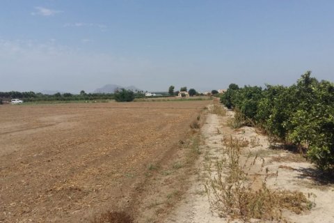 Finka Daya Nueva, Alicante, Hiszpania 3 sypialnie, 239 mkw. nr 115513 – zdjęcie 3
