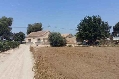 Finka Daya Nueva, Alicante, Hiszpania 3 sypialnie, 239 mkw. nr 115513 – zdjęcie 1