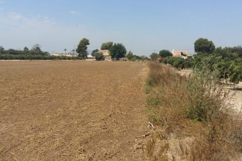 Finka Daya Nueva, Alicante, Hiszpania 3 sypialnie, 239 mkw. nr 115513 – zdjęcie 5