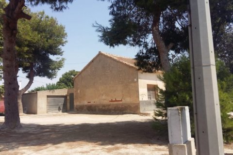 Finka Daya Nueva, Alicante, Hiszpania 3 sypialnie, 239 mkw. nr 115513 – zdjęcie 6