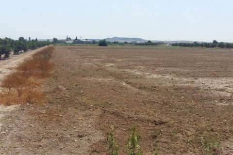 Finka Daya Nueva, Alicante, Hiszpania 3 sypialnie, 239 mkw. nr 115513 – zdjęcie 4