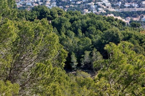 Land plot for sale Galera de las Palmeras, Alicante, Spain No. 117858 - photo 16