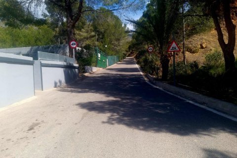 Land plot for sale Galera de las Palmeras, Alicante, Spain No. 117858 - photo 23