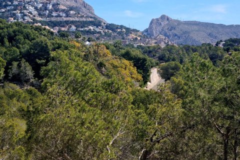 Land plot for sale Galera de las Palmeras, Alicante, Spain No. 117858 - photo 15