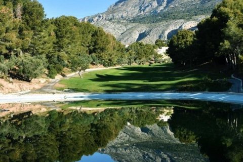 Land plot for sale Galera de las Palmeras, Alicante, Spain No. 117858 - photo 30