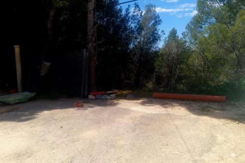 Land plot for sale Galera de las Palmeras, Alicante, Spain No. 117858 - photo 3
