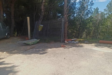 Land plot for sale Galera de las Palmeras, Alicante, Spain No. 117858 - photo 4