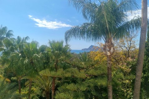 Land plot for sale Galera de las Palmeras, Alicante, Spain No. 117858 - photo 18