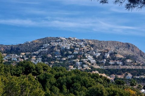 Land plot for sale Galera de las Palmeras, Alicante, Spain No. 117858 - photo 19