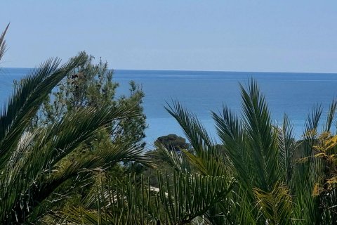 Land plot for sale Galera de las Palmeras, Alicante, Spain No. 117858 - photo 1