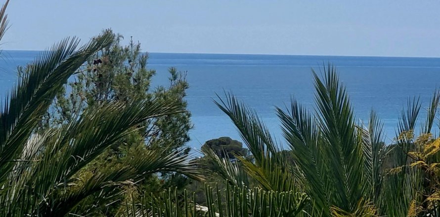 Land plot Galera de las Palmeras, Alicante, Spain No. 117858