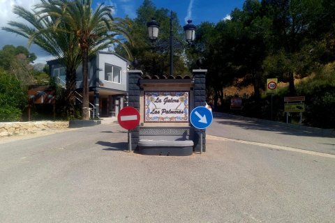 Land plot for sale Galera de las Palmeras, Alicante, Spain No. 117858 - photo 2