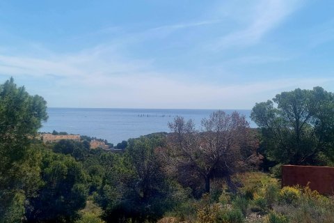 Land plot for sale Galera de las Palmeras, Alicante, Spain No. 117858 - photo 22