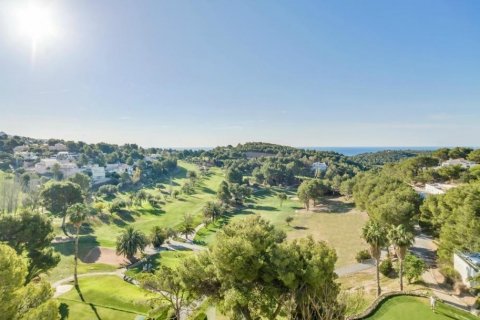 Land plot for sale Galera de las Palmeras, Alicante, Spain No. 117858 - photo 29