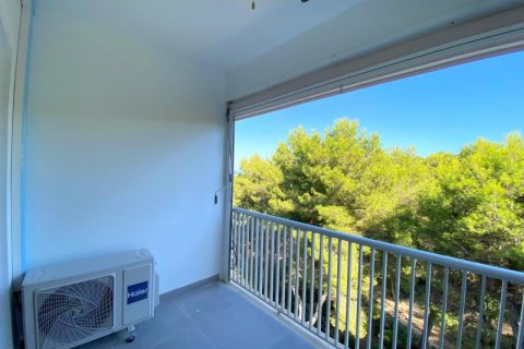 Wohnung zum Verkauf Sol De Mallorca, Mallorca, Spanien 2 Schlafzimmer, 85 m2 Nr. 108951 - Foto 2