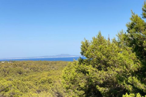 Wohnung zum Verkauf Sol De Mallorca, Mallorca, Spanien 2 Schlafzimmer, 85 m2 Nr. 108951 - Foto 1