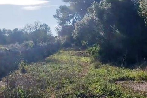 Zemes gabals pārdošanā Sineu, Mallorca, Spānijā 3 istabas, 101 m2 Nr. 108957 - attēls 2