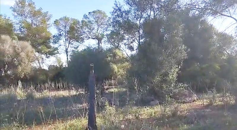 Działka w Sineu, Mallorca, Hiszpania 3 sypialnie, 101 mkw. nr 108957