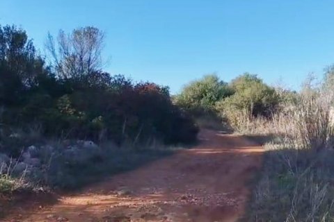 Zemes gabals pārdošanā Sineu, Mallorca, Spānijā 3 istabas, 101 m2 Nr. 108957 - attēls 5