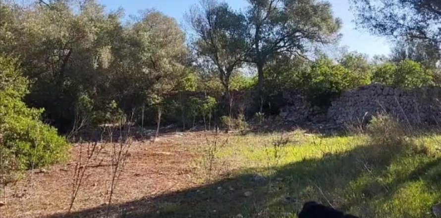 Zemes gabals Sineu, Mallorca, Spānijā 3 istabas, 101 m2 Nr. 108957