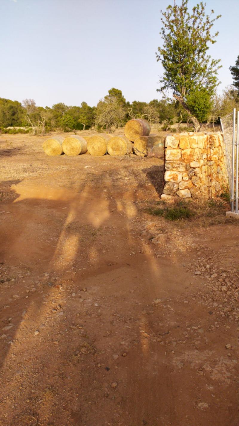Działka w Sineu, Mallorca, Hiszpania 3 sypialnie, 101 mkw. nr 108957