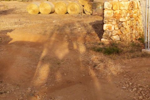 Zemes gabals pārdošanā Sineu, Mallorca, Spānijā 3 istabas, 101 m2 Nr. 108957 - attēls 10