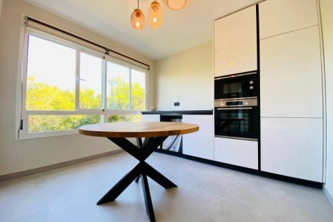 Penthäuser zum Verkauf Sol De Mallorca, Mallorca, Spanien 2 Schlafzimmer, 85 m2 Nr. 108956 - Foto 4